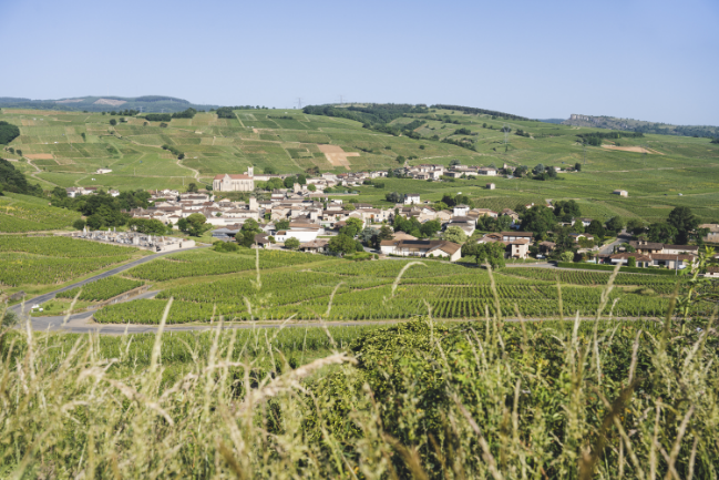 Southern Burgundy, luminous and secluded