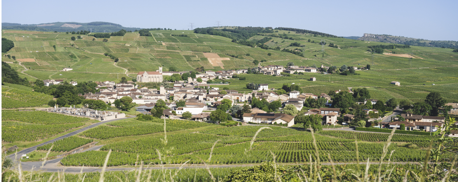 A stay between Solutré, Cluny and the vineyards